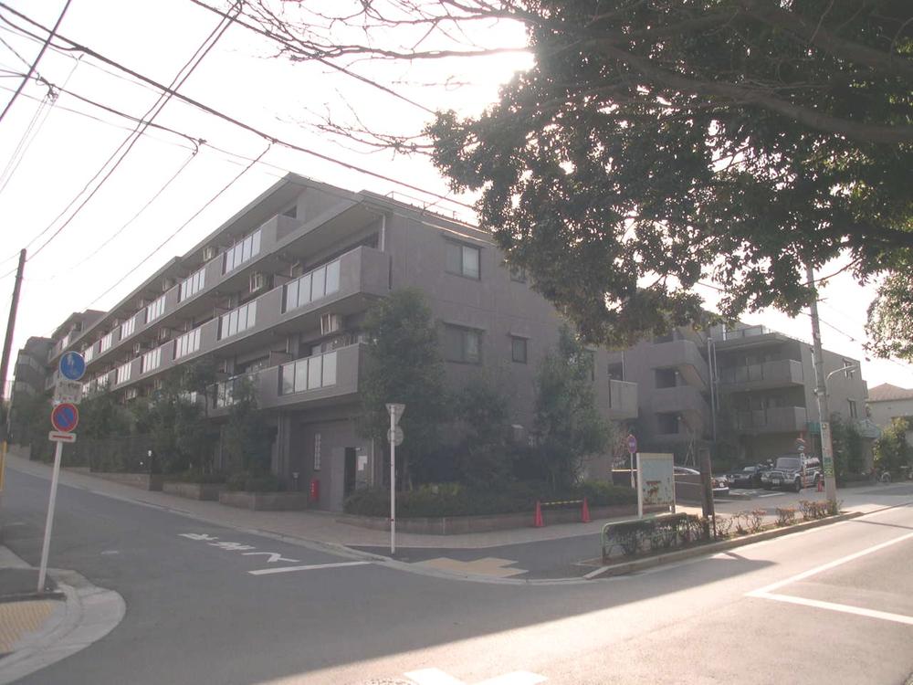 Local appearance photo. Local (July 2011) shooting