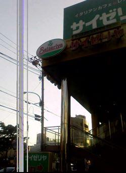 Other Environmental Photo. Saizeria up to 400m