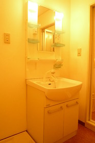 Washroom. Convenient Shampoo dresser