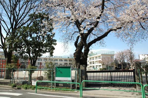 Primary school. Ward Nakamachi until elementary school 520m