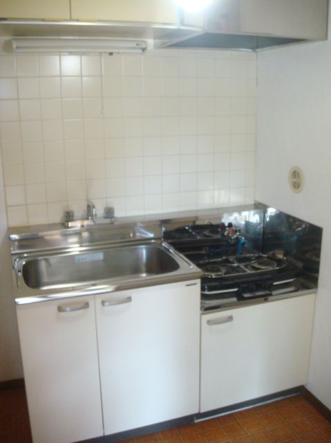 Kitchen. Two-burner gas stove can be installed.