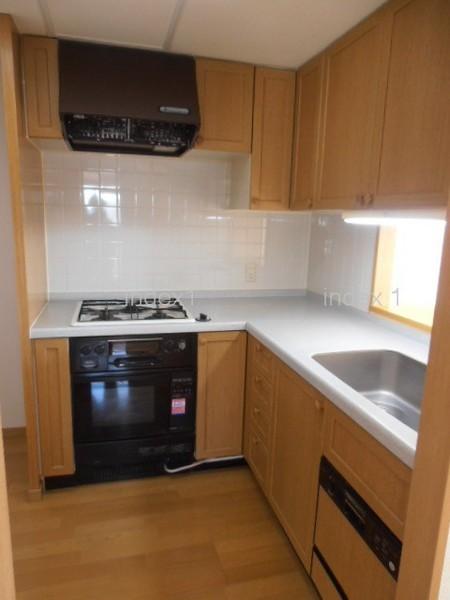 Kitchen. Easy-to-use L-shaped kitchen