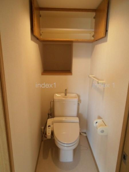 Toilet. The toilet there is a hanging cupboard