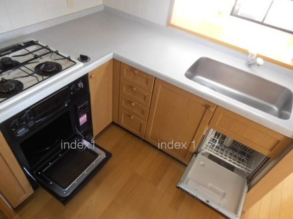 Kitchen. Gas oven and dishwasher with