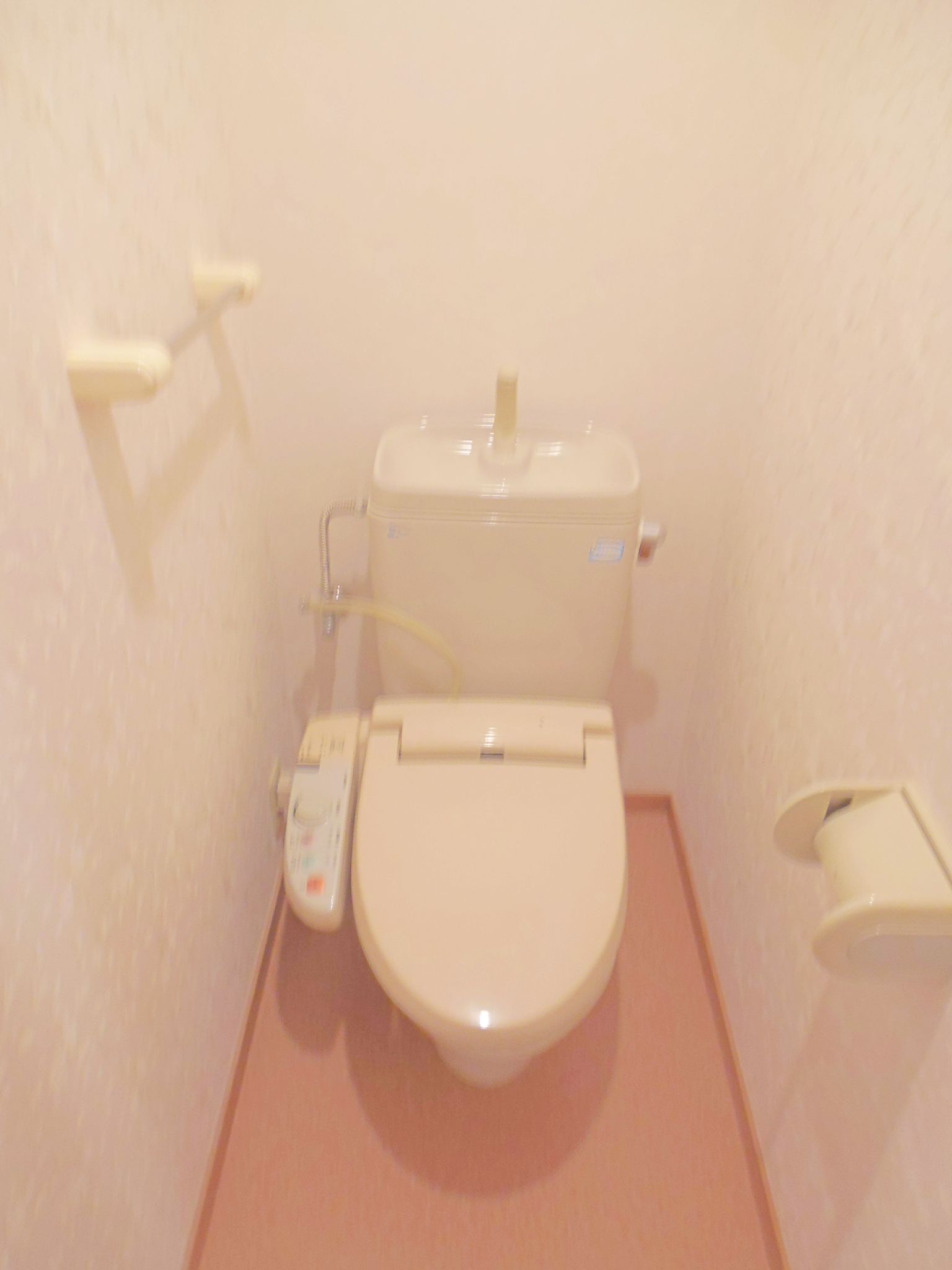 Toilet. Bidet