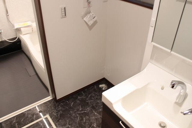 Wash basin, toilet. Indoor (11 May 2013) Shooting