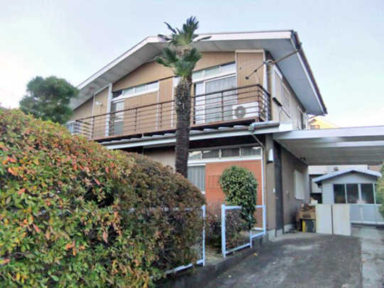 Local land photo. appearance