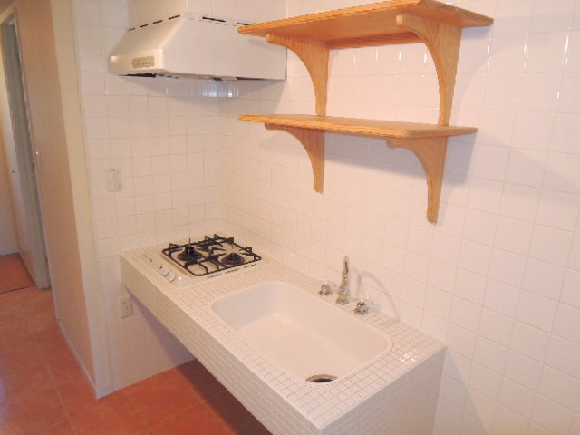 Kitchen. Stylish kitchen Gas two-burner kitchen