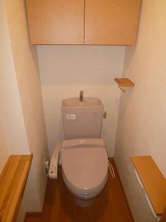 Other introspection. Indoor (April 2013) Shooting