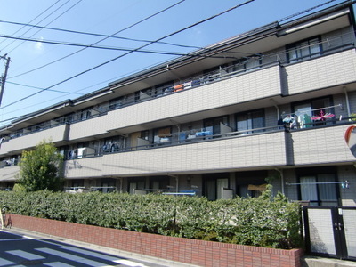 Building appearance. All houses facing south, Day is good!