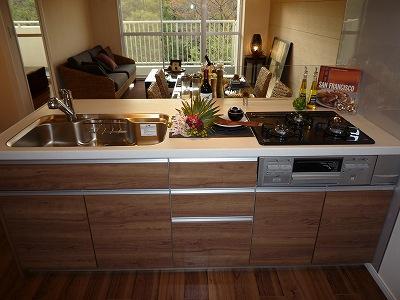 Kitchen. Indoor (11 May 2013) Shooting