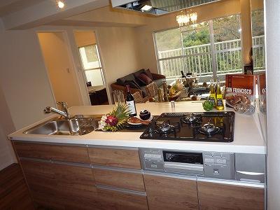 Kitchen. Indoor (11 May 2013) Shooting