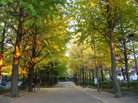 park. Johoku to Central Park 750m