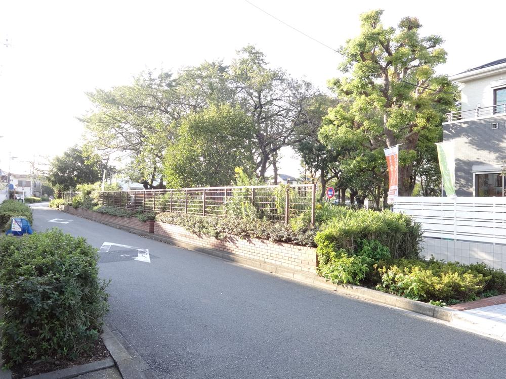 Local photos, including front road. Local (10 May 2013) Shooting