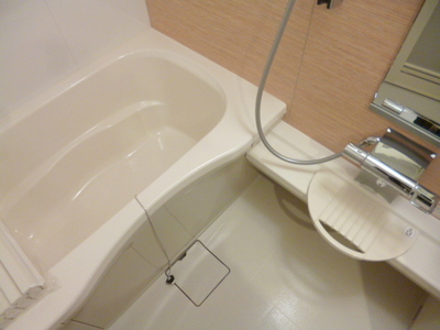 Bath. With add-fired & bathroom dryer It is a low-floor type step