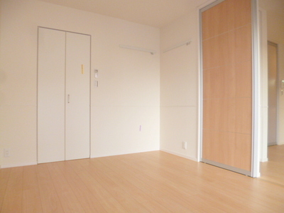 Living and room. Walk-in closet with