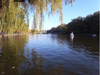 Nerima-ku, Tokyo Shakujii cho 3