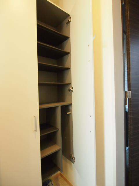 Entrance. Large shoebox also convince one with a lot of shoes.