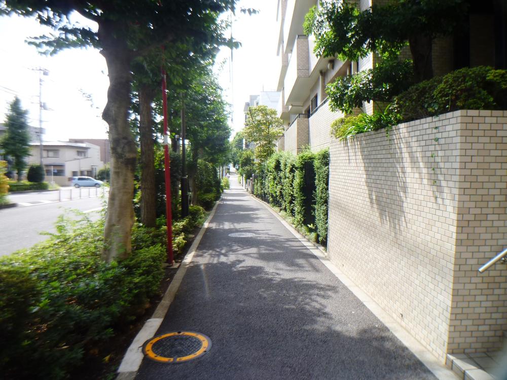 Other local. Front road (September 2013) Shooting