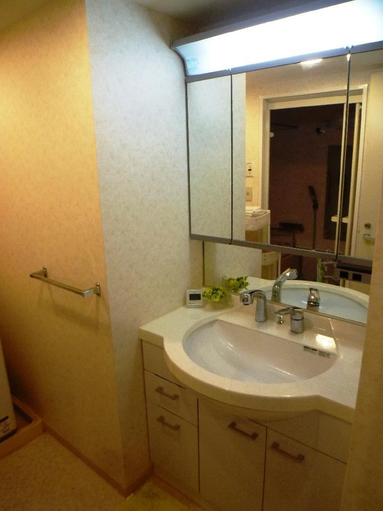 Wash basin, toilet. Vanity (September 2013) Shooting