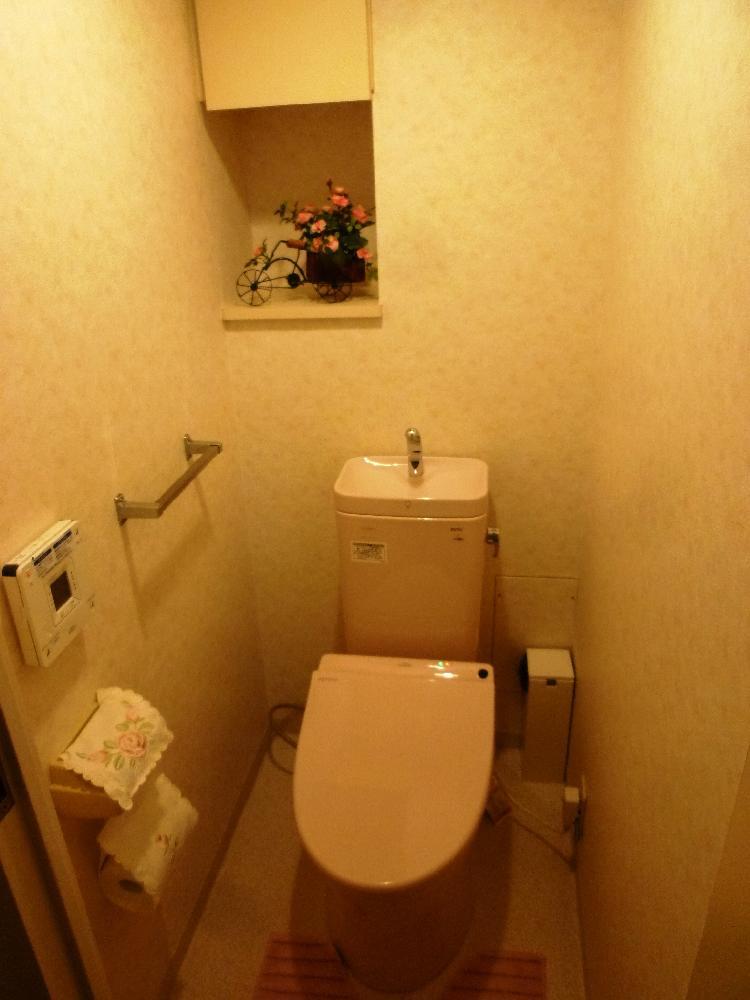 Toilet. Toilet (September 2013) Shooting