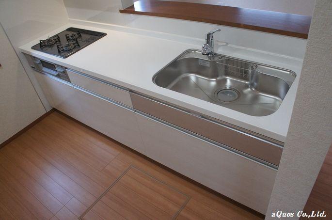 Kitchen. Indoor (12 May 2013) Shooting