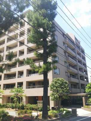 Local appearance photo. appearance