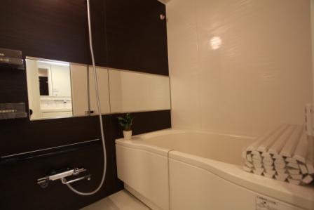 Bathroom. Indoor (12 May 2013) Shooting