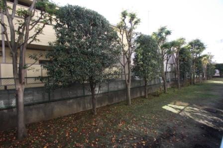 View photos from the dwelling unit. View from the site (December 2013) Shooting