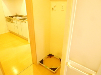 Other room space. Washing machine in the room