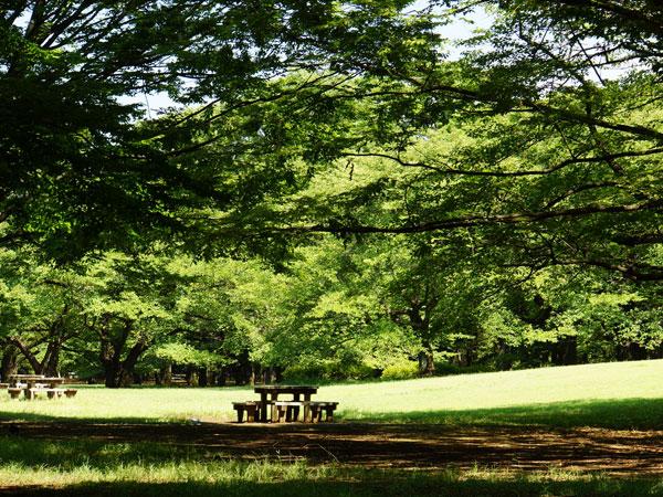 park. Hikarigaoka park