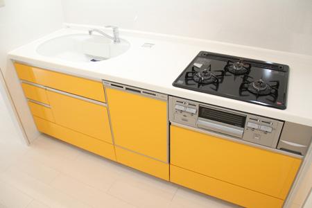 Kitchen. System Kitchen exchange / Gas stove 3-neck / Dishwasher