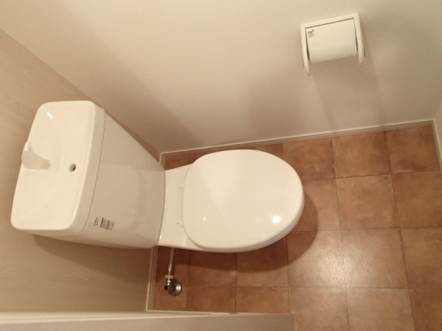 Toilet. Beautiful toilet!