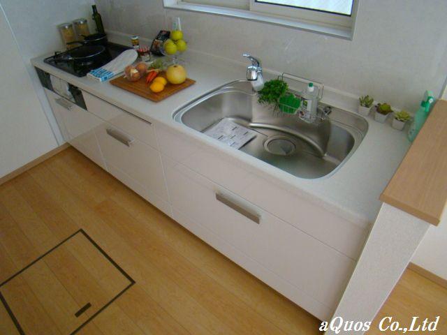 Kitchen. Indoor (10 May 2013) Shooting