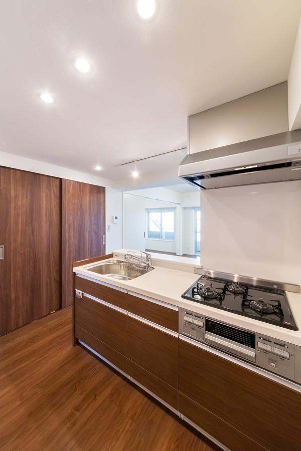 Kitchen. Popular counter kitchen