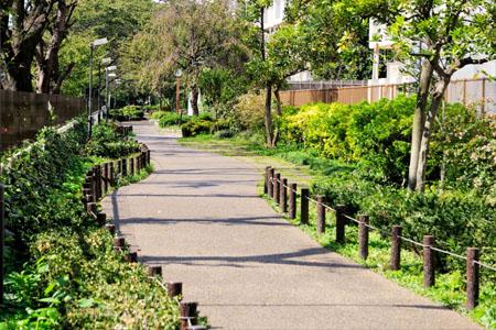 park. Tagara River green road ... 832m