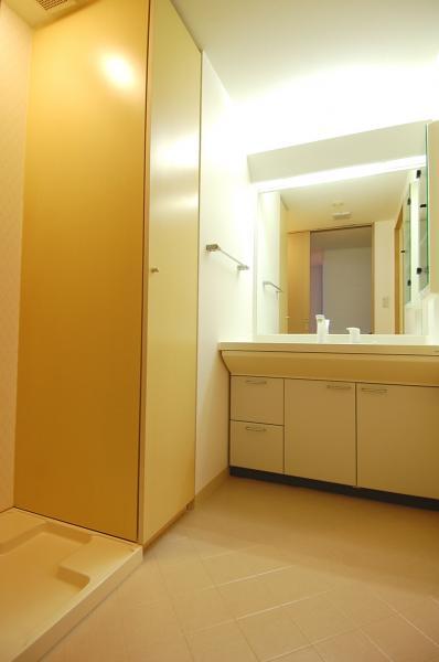 Wash basin, toilet. Basin space