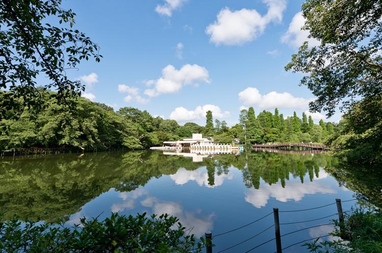 Other. Inokashira Park to go in about 10 minutes by bicycle. This park to show me a variety of facial expressions depending on the season, Crowded with a lot of people holiday. When the weather is good, It looks good even to try to go out and walk the Terra family.