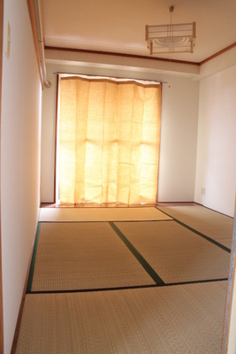 Living and room. Living room 3