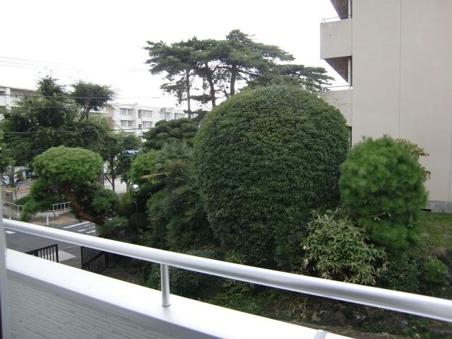 View photos from the dwelling unit. Is the view from the second floor Western-style. 