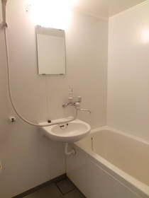 Bath. Also it comes with a mirror!