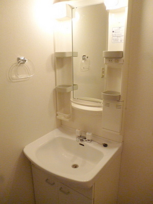 Washroom. With separate wash basin