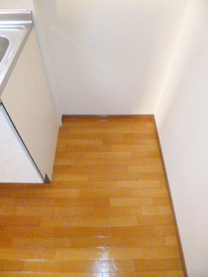 Kitchen. Refrigerator yard