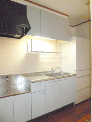 Kitchen. Enter also a large refrigerator