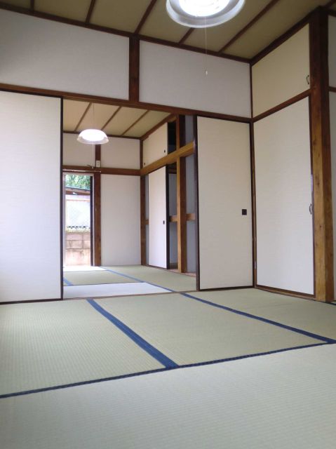 Living and room. Airy room