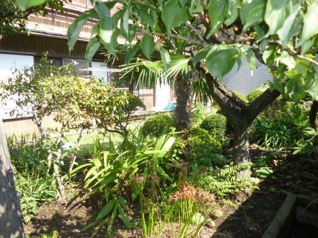 View photos from the local