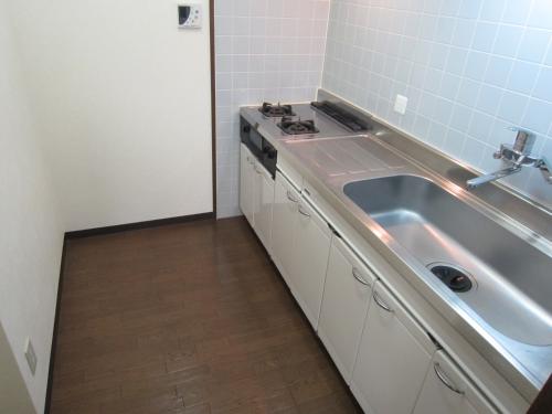 Kitchen. Independent kitchen type