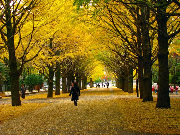 park. Up to about Hikarigaoka park felt the 1600m four seasons until Hikarigaoka park 1600m ・ Walk is a 20-minute. 
