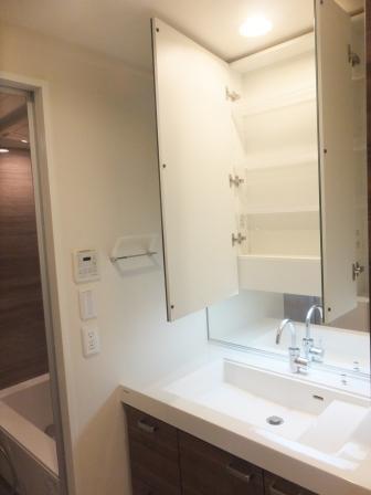 Wash basin, toilet. Indoor (12 May 2013) Shooting