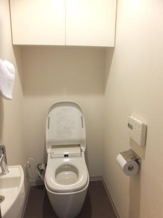 Toilet. Indoor (12 May 2013) Shooting